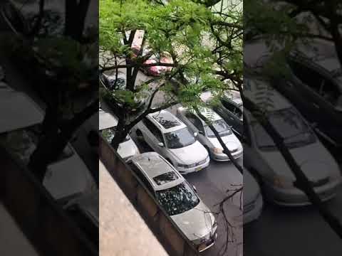 How did she get her license ? #cars #driving #nyc #newyork #youtubeshorts