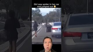 Girl Jumps Out Of Moving Car Because Of Spider🕷️😳