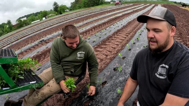 Huge planning news on the farm